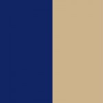 navy-tan