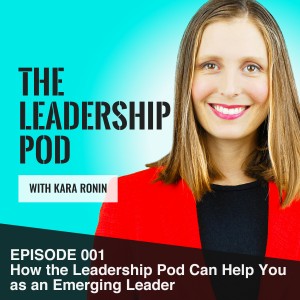 How the leadership pod can help you as an emerging leader